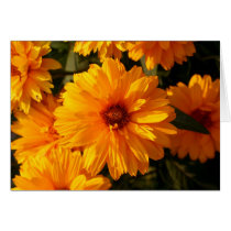 Yellow Flowers cards