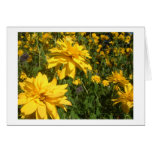 yellow flowers greeting card