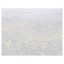yellow Flowers, Cyprus flowers Letterhead
