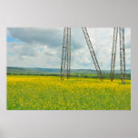 Yellow flowers field poster