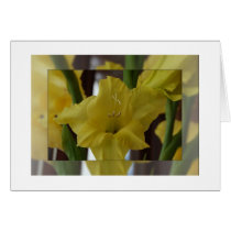 Yellow Flowers cards
