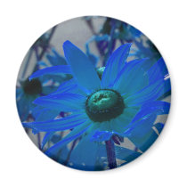 Yellow flowers in blue magnets