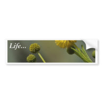 Yellow Flowers In Green Grass Macro Image bumper stickers by lifesphere Yellow Flowers In Green Grass Macro Image bumper stickers