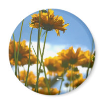 Yellow Flowers magnets