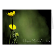 Yellow flowers Mother's Day cards