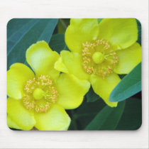 Yellow Flowers Mouse Pad mousepads