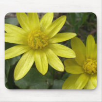 yellow flowers mousepads