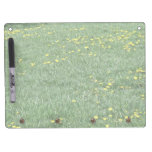 Yellow flowers of dandelions on a grassy landscape Dry-Erase whiteboards