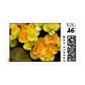 Yellow flowers postage by Yarijik Yellow flowers postage