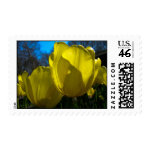 Yellow Flowers Postage stamp