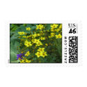 yellow flowers postage by DonnaGrayson_Photos yellow flowers postage