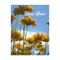 Yellow Flowers postcards