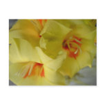 yellow flowers post card