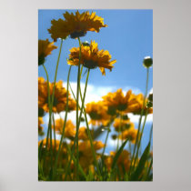 Yellow Flowers posters