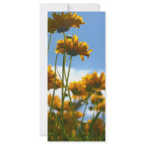 Yellow Flowers rack cards