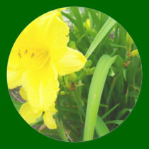 yellow flowers stickers