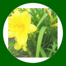 yellow flowers stickers