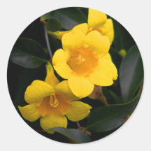 Yellow Flowers Sticker