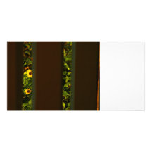 Yellow flowers through wide brown fence photo greeting card