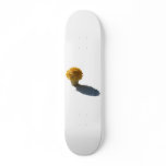 Yellow Flowers White Bucket and Shadow Cutout Skate Deck