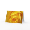 Yellow Folds cards by AnnaMarie777 Yellow Folds cards