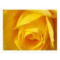 Yellow Folds posters