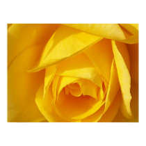 Yellow Folds posters