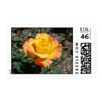 Yellow for Friendship stamps