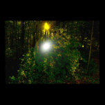 Yellow Forest Light posters