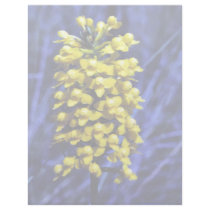 Yellow Fringeless Orchid letterhead by animalpark Yellow Fringeless Orchid letterhead