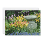 yellow Front garden of house in Westmount, Quebec, Custom Invitation