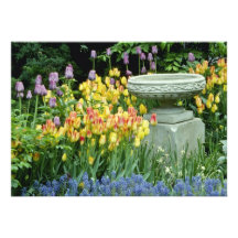 yellow Front garden of house in Westmount, Quebec, Custom Invitation