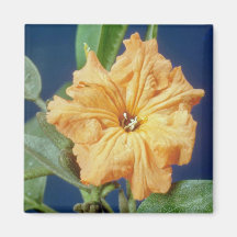 yellow Geiger tree (Cordia sebestena) flowers Refrigerator Magnets