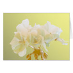 Yellow Geranium Greeting Cards