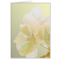 Yellow Geranium cards