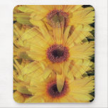 Yellow Gerber Daisy Flowers Mousepad