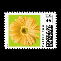 Yellow Gerbera Daisy Postage Stamps