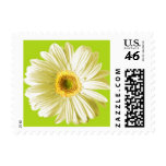 Yellow Gerbera Daisy Postage Stamps