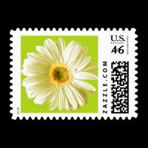 Yellow Gerbera Daisy Postage Stamps