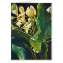 Yellow Ginger cards