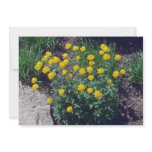 yellow Globe Flower, (Trollius Europaeus) flowers Personalized Invitations