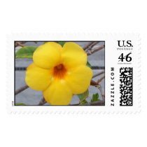 Yellow Glory Postage