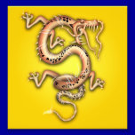 YELLOW GOLD DRAGON FANTASY CREATURE ORIENTAL GRAPH photography