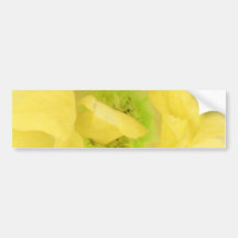 Yellow Gold Floral Nectar Bumper Sticker