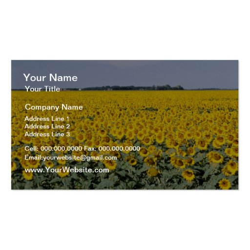 yellow Golden field of sunflowers, Manitoba flower Business Card Templates (front side)
