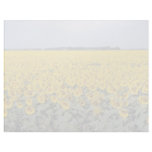 yellow Golden field of sunflowers, Manitoba flower Letterhead Template