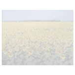 yellow Golden field of sunflowers, Manitoba flower Customized Letterhead