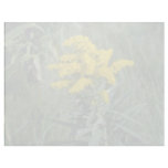 yellow Goldenrod (Solidago Sp.) flowers letterhead