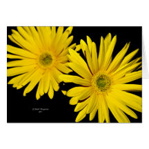 Yellow Greeting Cards
