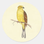 Yellow Hammer Bird Vintage Illustration Sticker